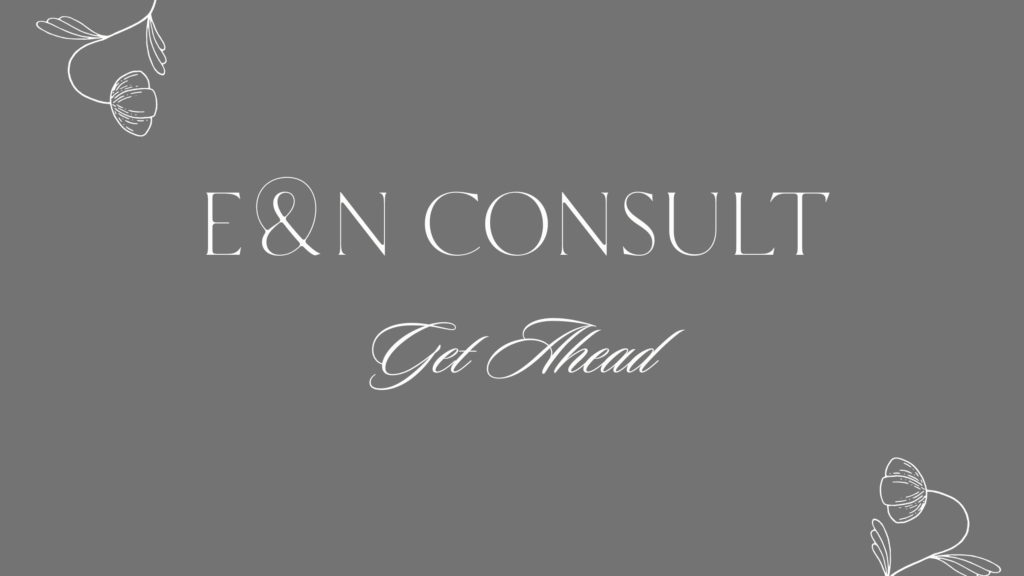 About E&N Consult
